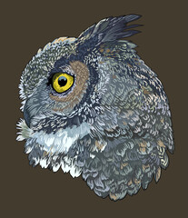 Drawing great owl head, exotic, art.illustration, vector