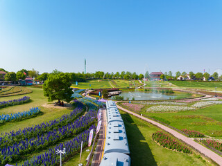 Scenery of flowers expo Park in Wuhan, Hubei, China