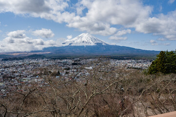 新倉山浅間公園 - 忠霊塔