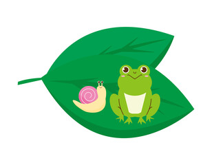 かわいいカエルとカタツムリ