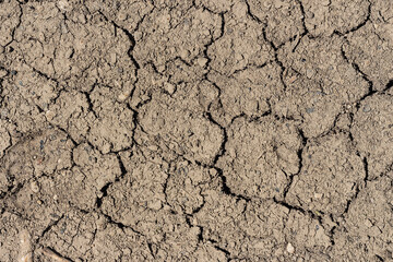 Tierra seca y agrietada 