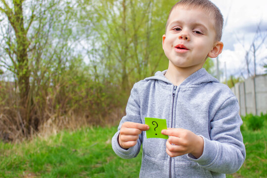 the boy holds stickers with a question mark on the background of the park. Nature.