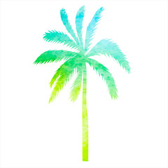 palm tree watercolor silhouette, on white background, isolated