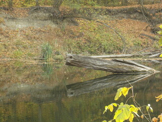 river in autumn