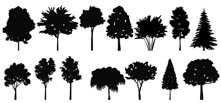 set of trees silhouette, on white background, isolated, vector