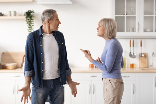 Elderly couple arguing at kitchen, wife yelling at husband