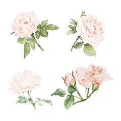 Set of Rose and leaves bunch watercolor
