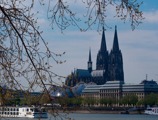 K&ouml;lner Dom Blick vom Rheinpark