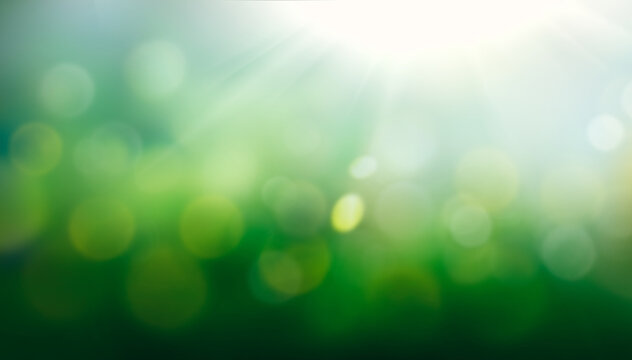 A spring, summer background of fresh lush green foliage, pale blue sky and blurred bokeh sun ray highlights.
