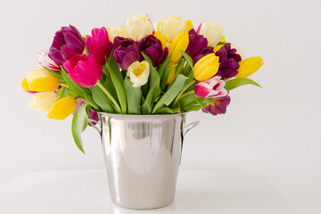 Bright colorful natural background with fresh tulips, spring flowers, yellow, pink colors shooted above white background