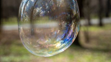 soap bubbles in the park