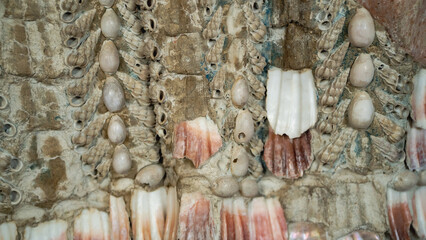 Texture, walls decorated with shells