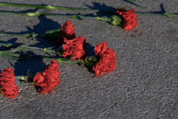 Carnation flower. Several red flowers near the monument. Marble or granite slab of the monument. Red carnations on a stone background. Memorial Day. Victims.