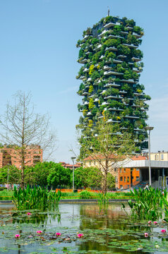 View of Bosco Verticale seen from the Biblioteca degli Alberi (BAM), park located between Piazza Gae Aulenti and the Isola district. 05-09-2022. Flowering fields. Milan. Italy