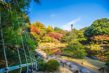 東京都　旧古河庭園の紅葉
