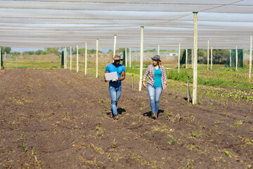 African american male agronomist holding laptop while discussing with caucasian woman in greenhouse