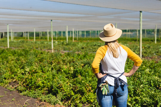 Rear view of caucasian mid adult female farmer wearing hat with arms akimbo standing in greenhouse