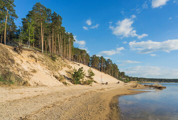 Scenic view of the White dune covered with pine forests near Lielupe river in Riga, Latvia