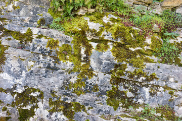 The Old Stone Texture with scratches , cracks and moss