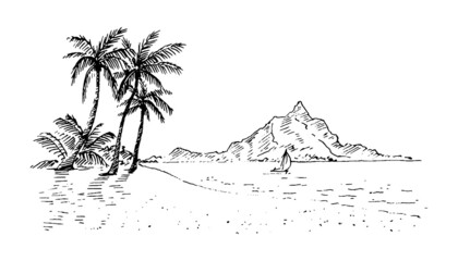 Palm trees on the sea coast. Hand drawn sketch. Perfect for postcard