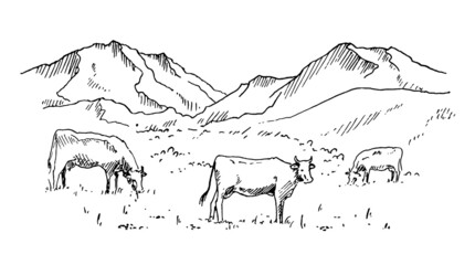Hand drawn vector landscape with mountains and cows grazing in the meadow in the valley. Ideal for banner, poster and sticker design.