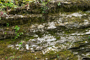 Obraz premium The Old Stone Texture with scratches , cracks and moss