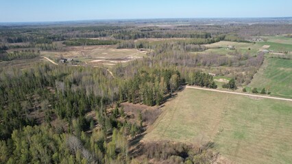 Nature, silent, landscape, water, tree, forest