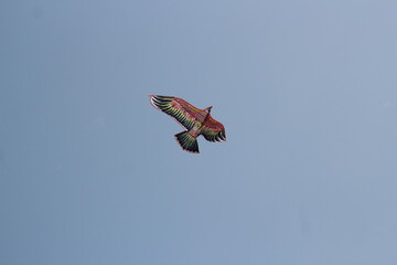 Kite flying in the sky on sea beach