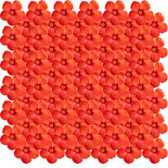 Obraz premium A pattern from a photo of a red flower. Texture for background and design