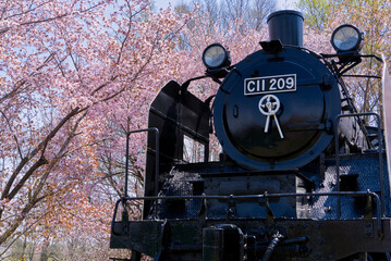 Steam locomotive C11 in Nakashibetsu Maruyama Park, Hokkaido