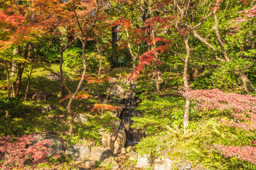 東京都　旧古河庭園の紅葉