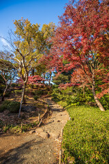 Fototapeta premium 東京都 旧古河庭園の紅葉
