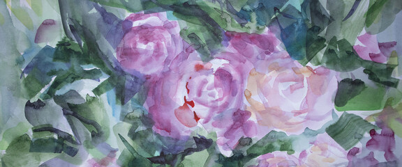 Pink roses blossoms with leaves panorama background. Summer beautiful flowers color of season 2022. Watercolor brush strokes. Wet texture with smudges artwork. Wellness and naturalness concept.