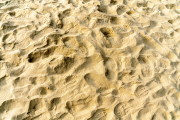 A stretch of sand by the sea