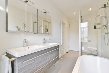 Contemporary bathroom with shower cabin bathtub and sinks in sunlight