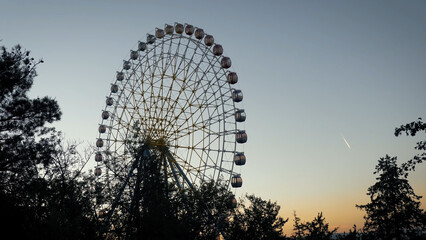 Fototapeta premium Ferris wheel. Observation wheel in the evening.