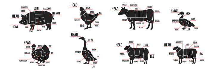 Meat cuts set. Diagrams Scheme of chicken, beef, pork etc. Animal silhouettes icon