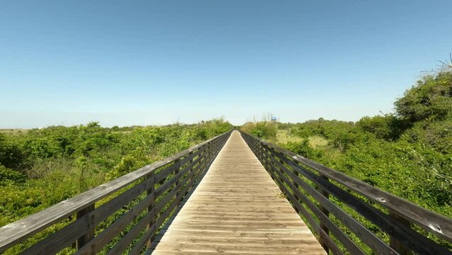 Manmade nature trails in Gulf Shores State Park Alabama USA