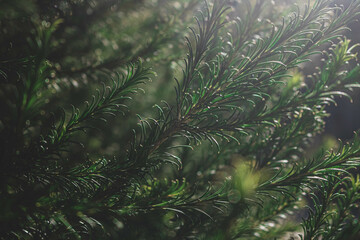 branches against deep blue sky background with copyspace
