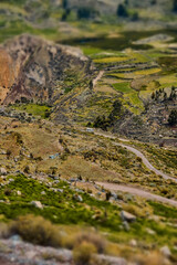 Field near Colca Canyon in Peru.