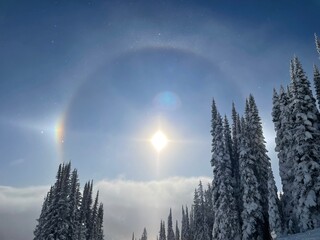 Fototapeta na wymiar Sun with halo in forest with snow on Silver Star Mountain Canada BC.
