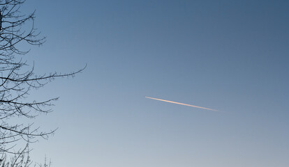 Plane flies in the blue sky. Leafless branches of trees
