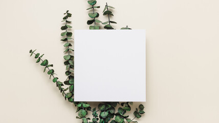 Invitation card mockup with on natural eucalyptus leaves top view, banner size, beige background