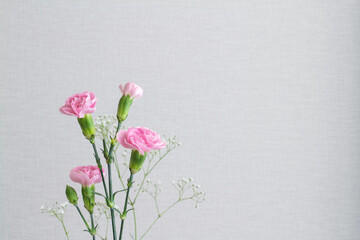 ピンクのカーネーションとかすみ草とライトグレーの背景のコピースペース