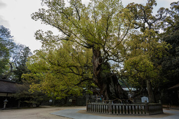 大山祇神社