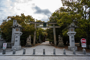 Fototapeta na wymiar 大山祇神社