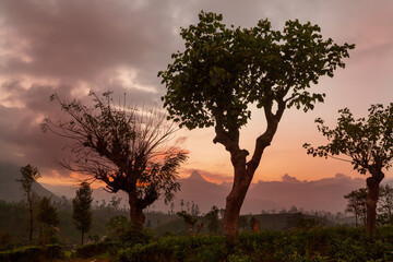 Fototapeta na wymiar Sunset on Sri Lanka