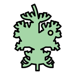 Dill Icon
