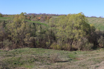 ravine