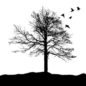 Silhouette of a lonely tree with flying birds. Vector illustration